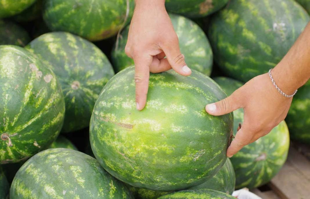 Usta manavlar biliyor sadece bu sırları! Karpuz seçerken yapın asla kelek çıkmıyor - Resim: 5